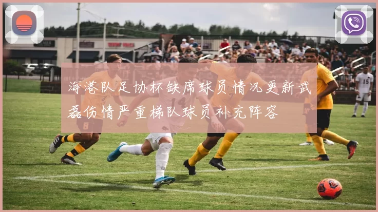 海港队足协杯缺席球员情况更新武磊伤情严重梯队球员补充阵容
